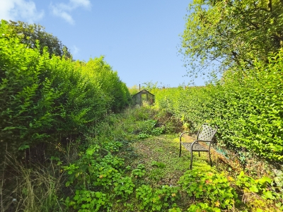 Picture 26